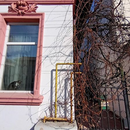 ブカレストCasa Liveniアパートメント エクステリア 写真