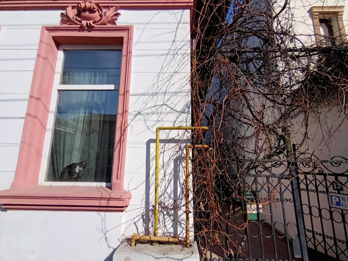 ブカレストCasa Liveniアパートメント エクステリア 写真